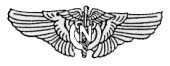 US Army Air Force Flight Nurse Wings, authorized Dec. 15, 1943 (Source: US Air Force)