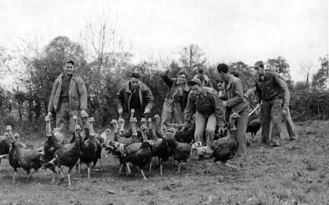 After receiving permission from the farm owner, these American airmen, stationed at an airbase in Norfolk, England, invade a turkey pen to choose their annual Thanksgiving dinner, 6 November 1943 (US Army Air Force photo)
