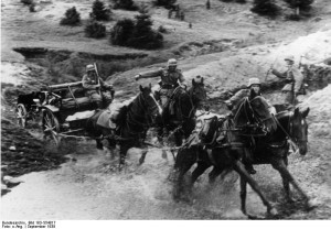 German Army horses towing an infantry gun, Poland, September 1939 (German Federal Archive, Bild 183-S54817)