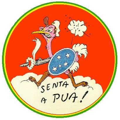 Badge of First Brazilian Fighter Group, WWII