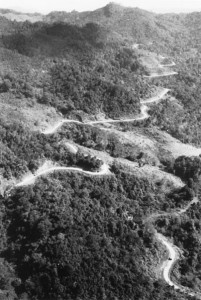 Aerial view of the first convoy to go from India to China over the re-opened Burma Road (US Army Center of Military History)