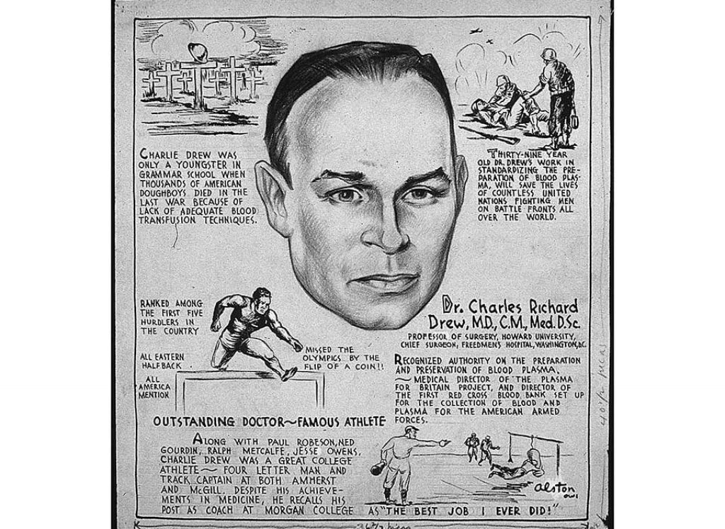 A summary of the life of Charles Drew by artist Charles Alston, 1943 (US National Archives 535693)