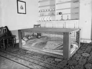 Morrison shelter in use, WWII (Imperial War Museum: D 2055)