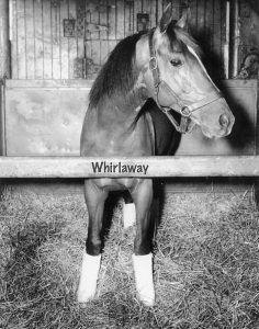 Whirlaway (Wikimedia Creative Commons)