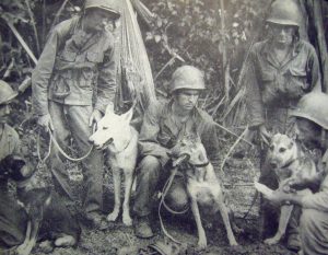 One of the first scout dog patrols to be used on Luzon in WWII. Briefing prior to a patrol (US Army photo)