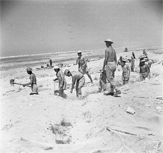 British troops digging defensive trenches near El Alamein, Egypt, 4 Jul 1942 (Imperial War Museum)