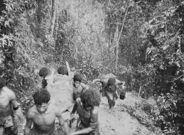 Papuan carriers evacuate Australian casualties near Isurava, 30 Aug 1942 (Australian War Memorial: 013286)