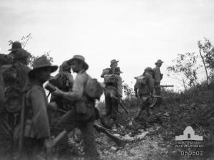 Australian soldiers from the 2/48th Battalion around Sattelberg, New Guinea, 17 November 1943 (Australian War Memorial #060601)