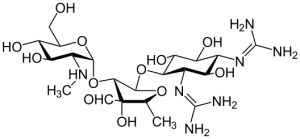 Chemical structure of streptomycin (public domain via Wikipedia)