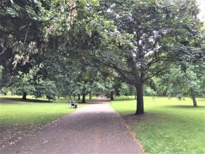 Hyde Park, London, September 2017 (Photo: Sarah Sundin)