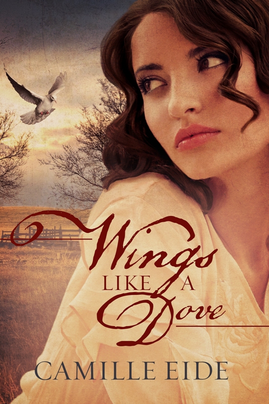 Wings Like a Dove, by Camille Eide
