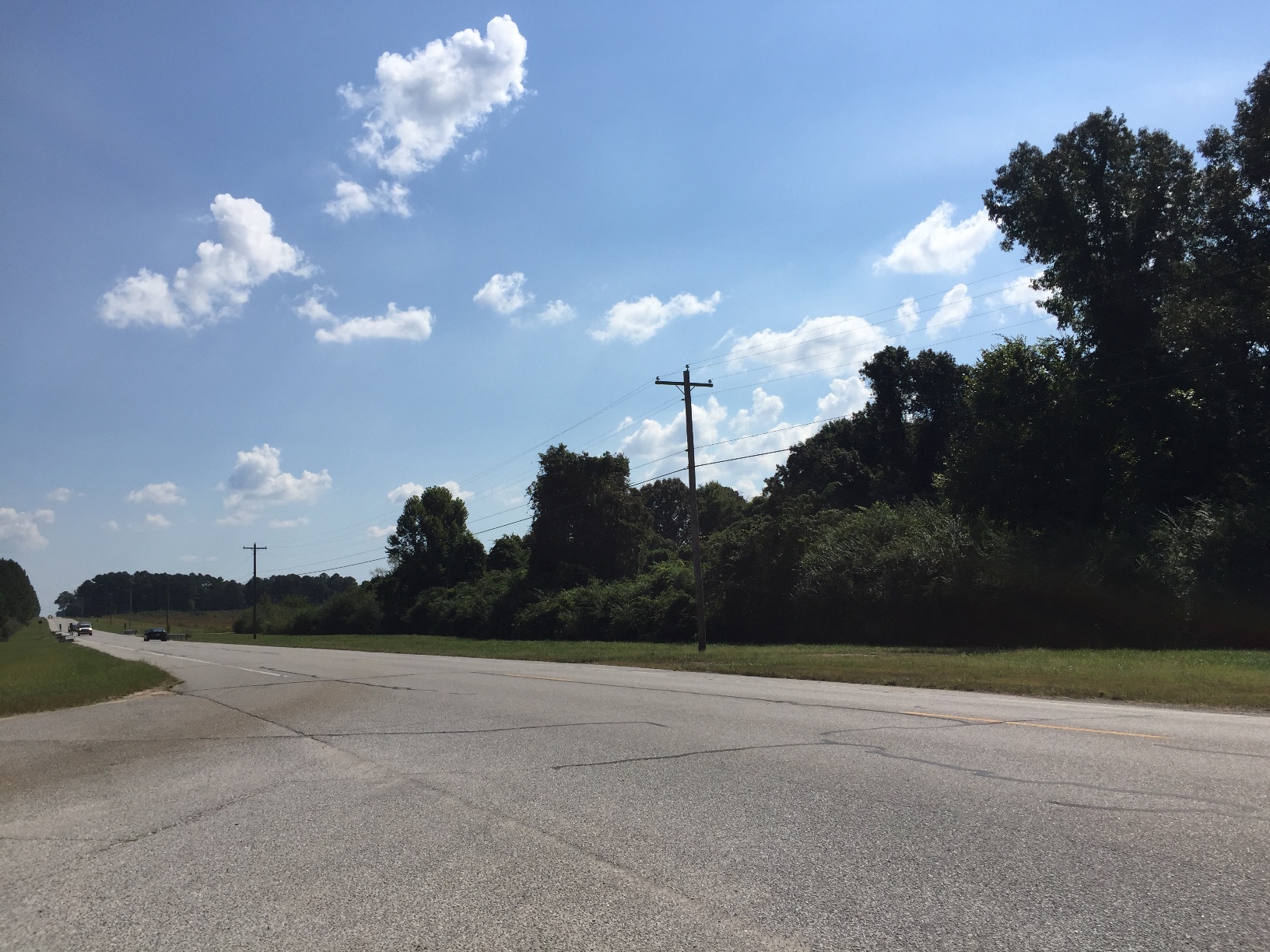 At Camp Forrest site, looking down Forrest Blvd., near location of former library (Photo: Sarah Sundin, September 2018)