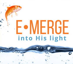 Emerge into his Light