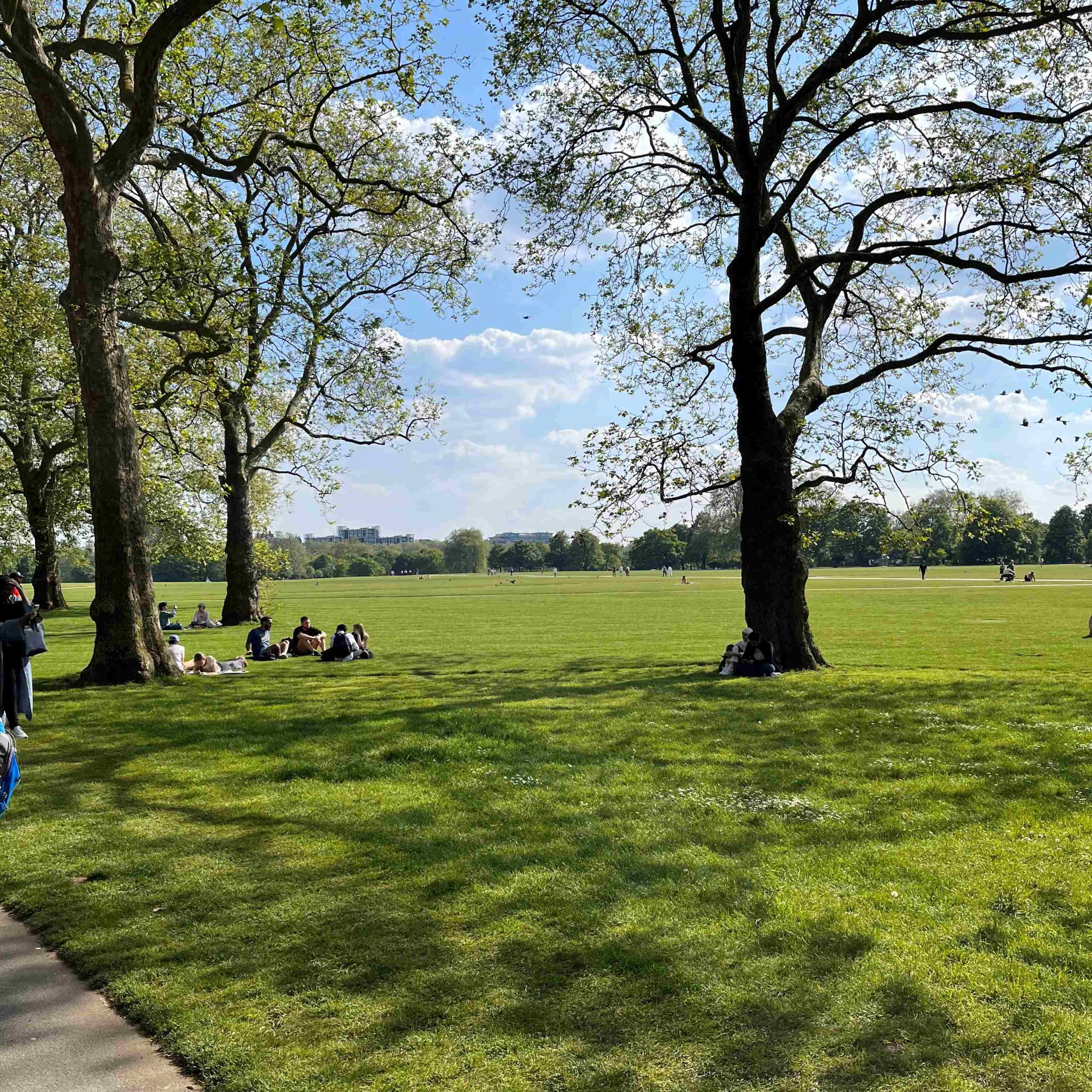 Hyde Park, London, 9 May 2024 (Photo: Sarah Sundin)