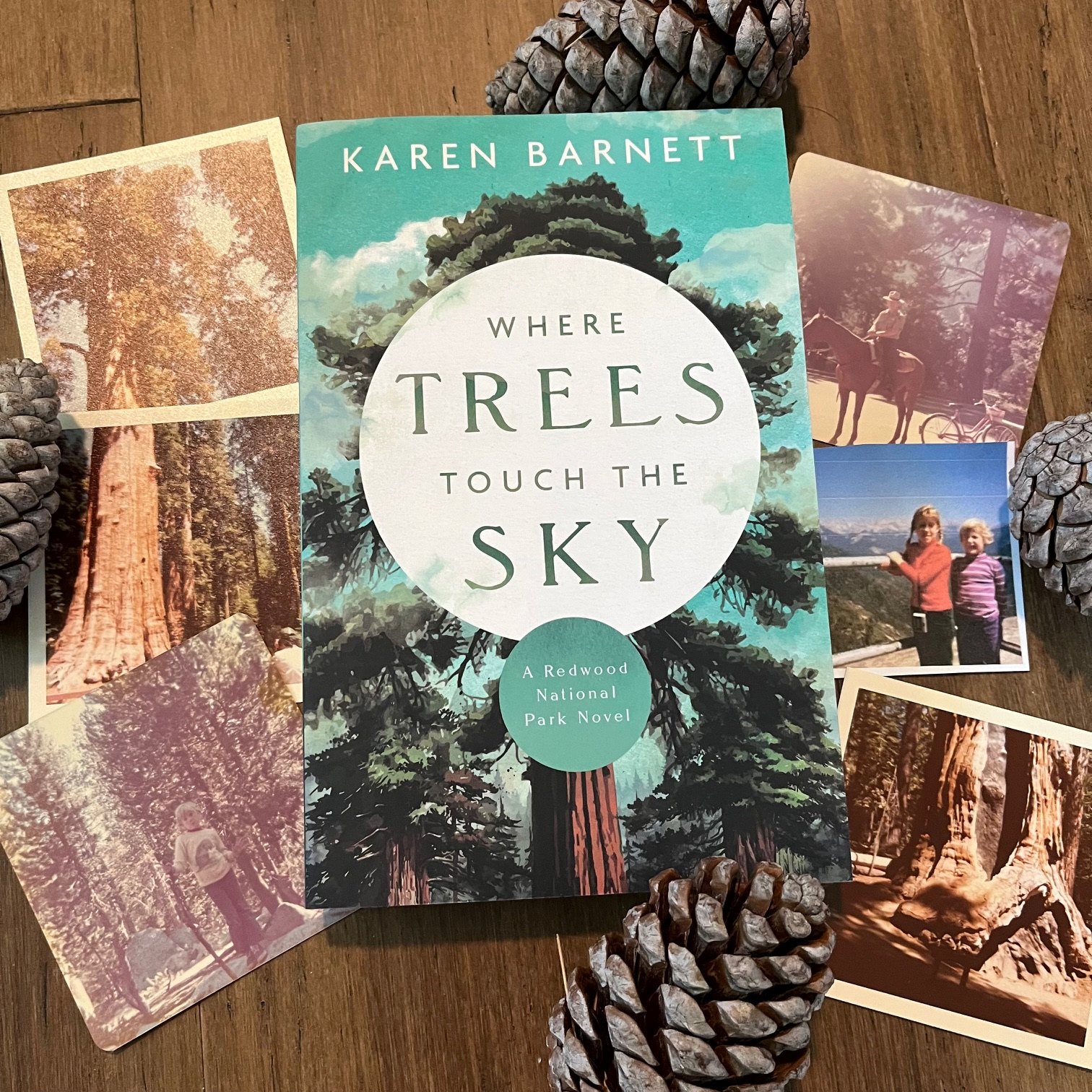 Where Trees Touch the Sky by Karen Barnett
